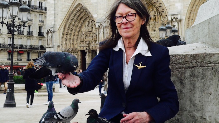 Brigitte Marquet, Ambassade des Pigeons, pigeons, Paris, Notre-Dame,