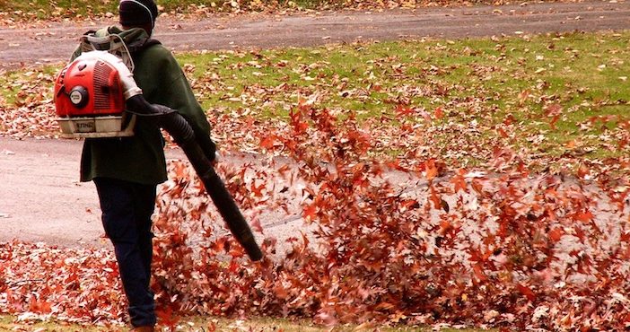 Les souffleuses de feuilles en action