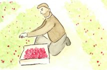 Saisonniers agricoles en plein travail, aquarelle de Laura Remoué