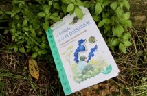 Le manuel de la vie buissonnière – Manifeste pour une cueillette sauvage