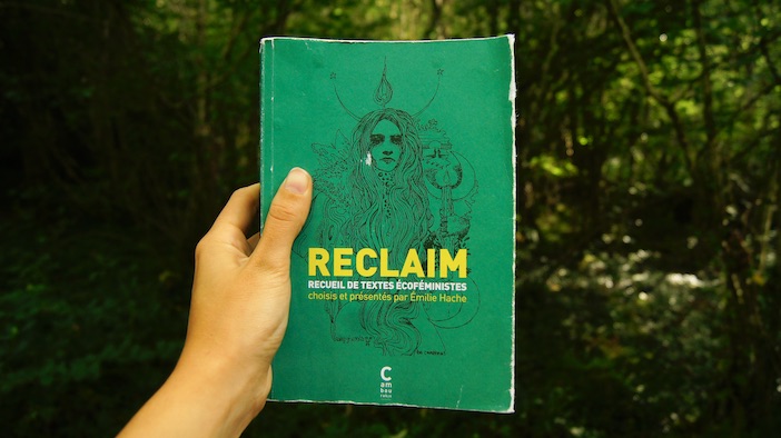 Reclaim, couverture du livre