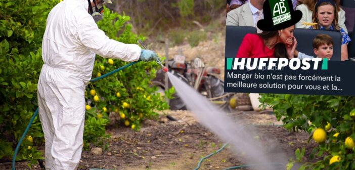Épandage de pesticides sur des citronniers.