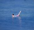 Un baigneur prend la pose dans la mer comme s'il faisait de la natation synchronisée